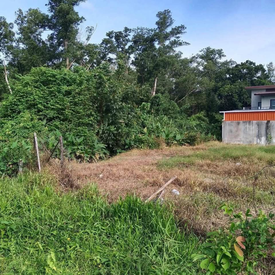 100 sq. wah land plot in Pa Khlok near Tha La Beach – รูปที่ 4