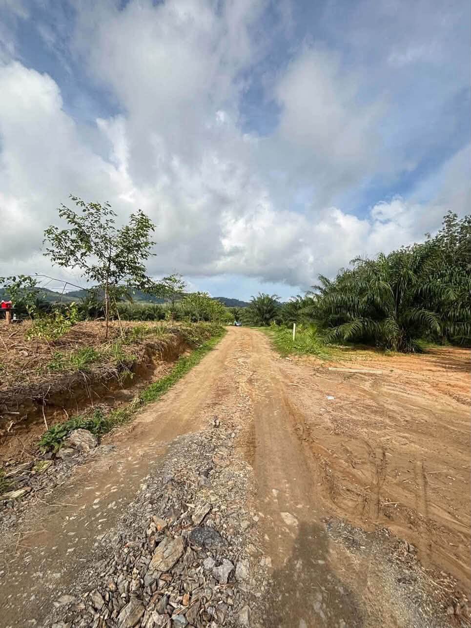 1 Rai Titled Land Plots for Sale in Khok Kloi, Phang Nga – photo 4