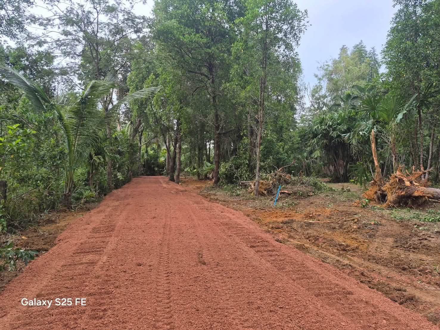 Land Plots near the Sea in Pool Villa Zone, Nam Khem-Bang Muang, Phang Nga – รูปที่ 3