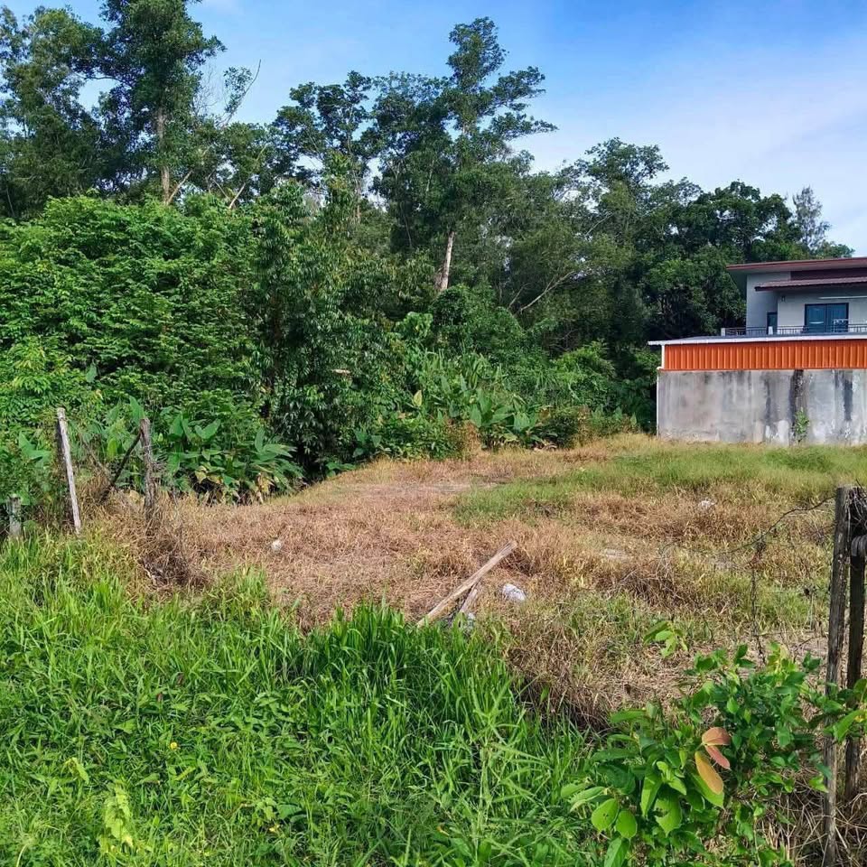 100 sq.wah land plot for sale in Pa Khlok, Soi Hat Tha La – photo 5