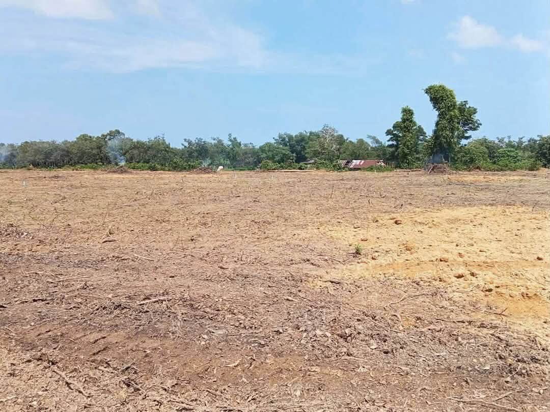 1 Rai Titled Land Plots for Sale in Khok Kloi, Phang Nga – photo 2