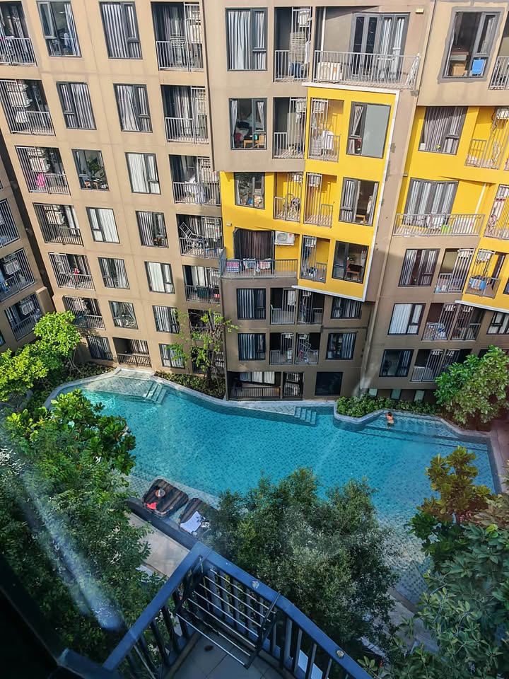 Studio with pool and garden view at The Base Central Phuket – รูปที่ 10