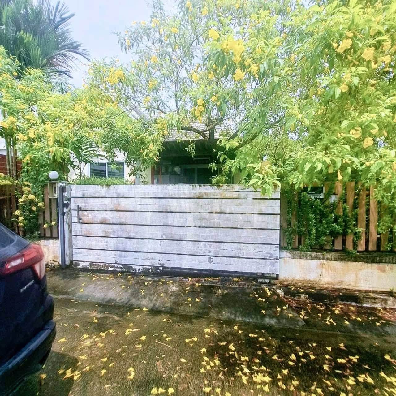 Corner Semi-Detached 2-Bed House for Rent in Thalang, Pet Friendly – photo 3