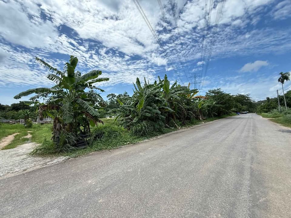 2 rai land plot for sale on a public road at Pa Khrong Chip – รูปที่ 4