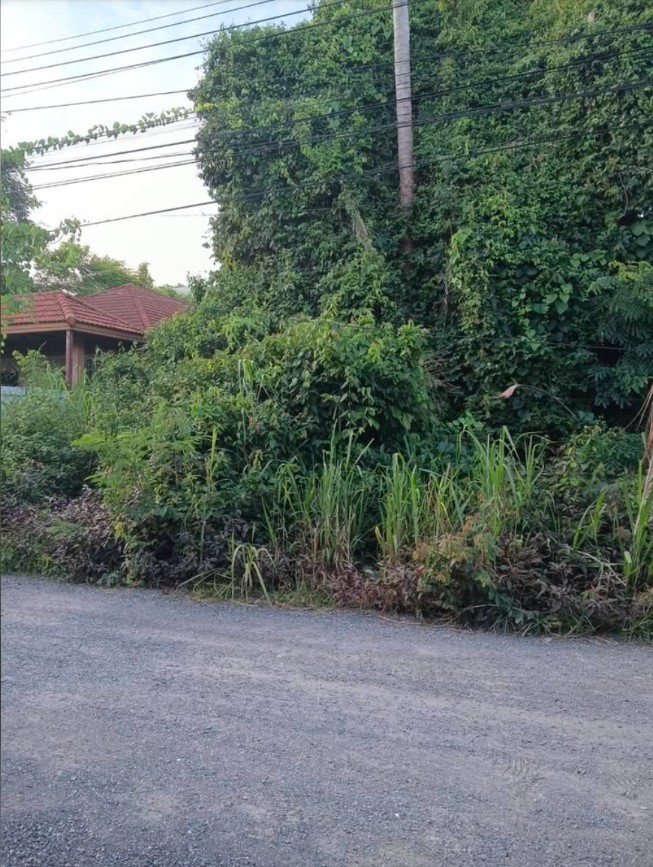 Vacant land for sale near The Vijitt Resort, Rawai – รูปที่ 2