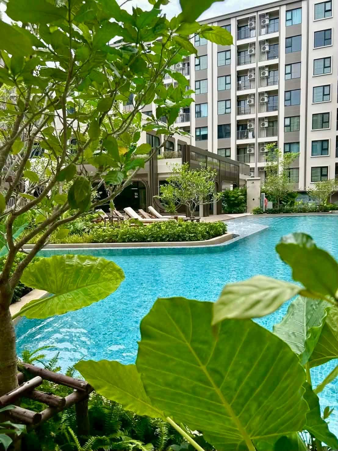 1-bedroom pool view condo for rent at The Origin Kathu-Patong – รูปที่ 15