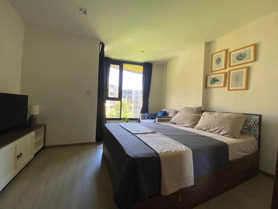 Studio with pool and garden view at The Base Central Phuket – รูปที่ 3