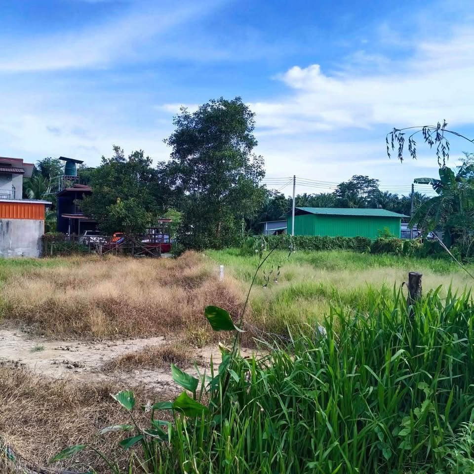 100 sq. wah land plot in Pa Khlok near Tha La Beach – รูปที่ 3