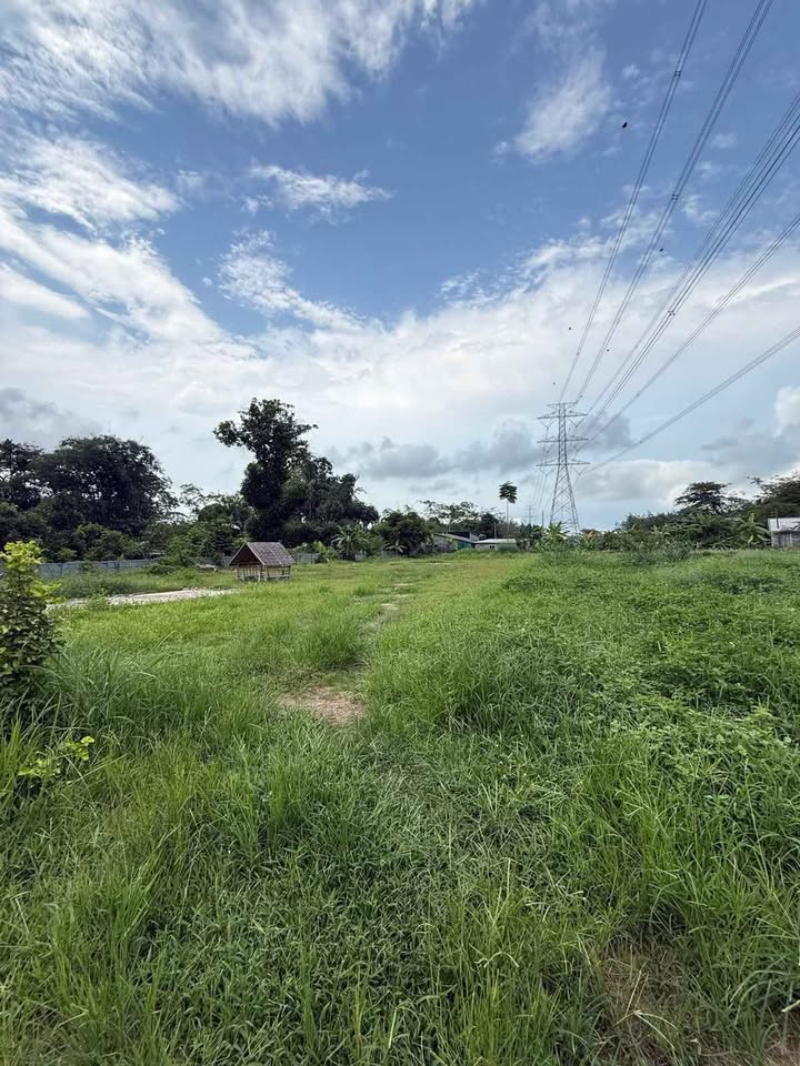 2 rai land plot for sale on a public road at Pa Khrong Chip – รูปที่ 2