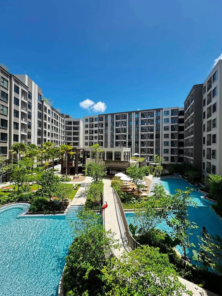 1-bedroom pool view condo for rent at The Origin Kathu-Patong – รูปที่ 4