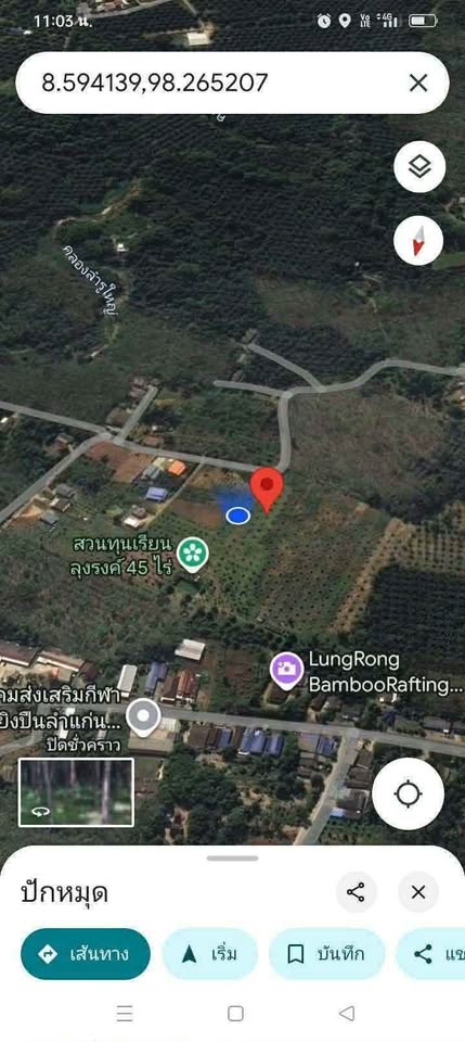 4 rai 93 sq wah titled palm plantation land for sale in Lam Kaen, near Khao Lak – photo 8