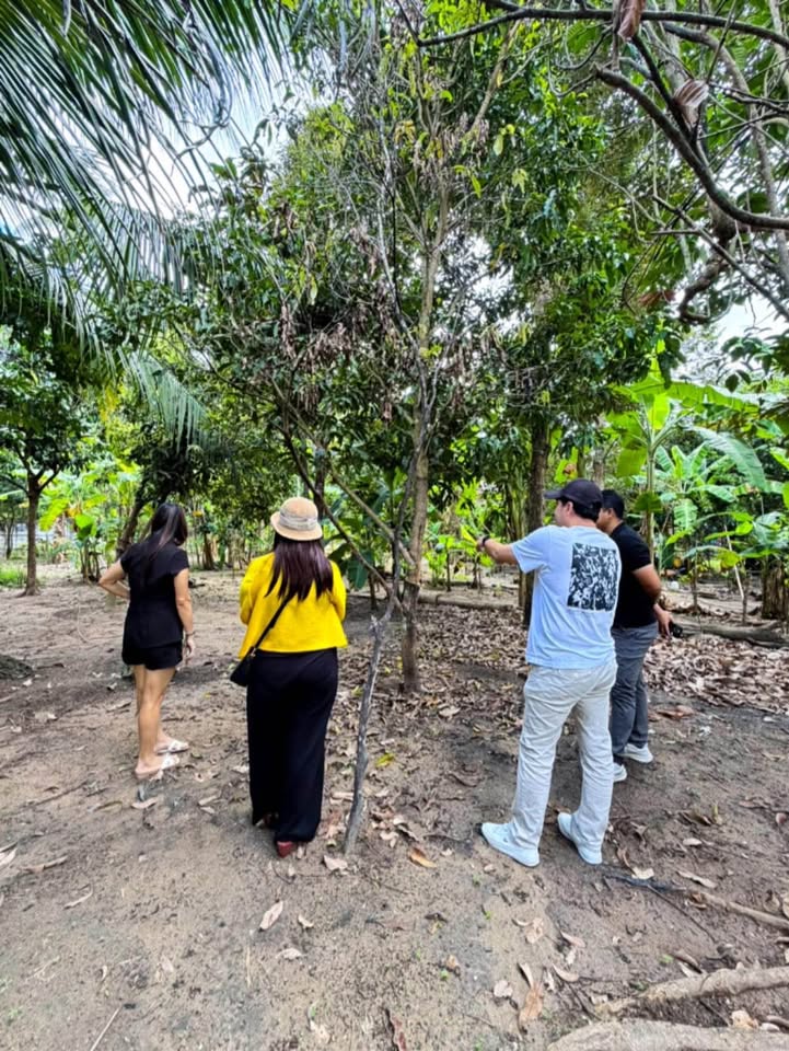 108 sq.wah land plot for sale near Pa Khlok, Thalang – photo 2