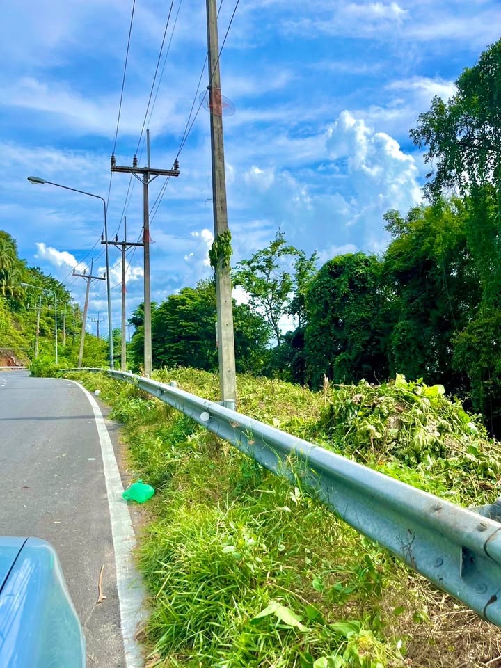 Sea view land for rent above Karon Beach – photo 6