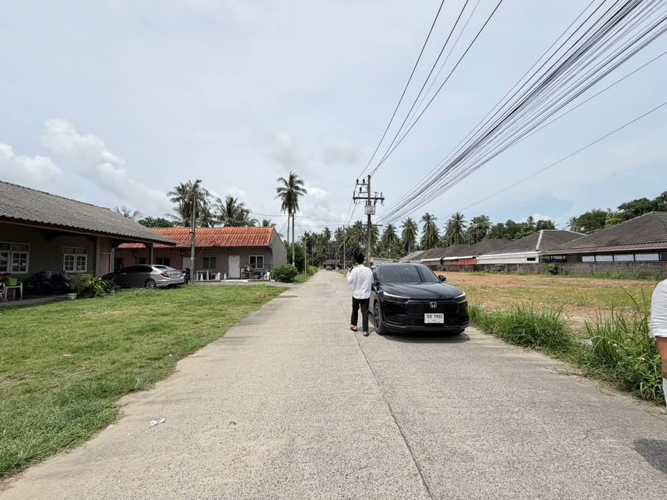 100 sq.wah land plot for sale in Pa Khlok, Soi Hat Tha La – photo 3