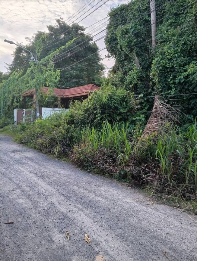 Vacant land for sale near The Vijitt Resort, Rawai – รูปที่ 3