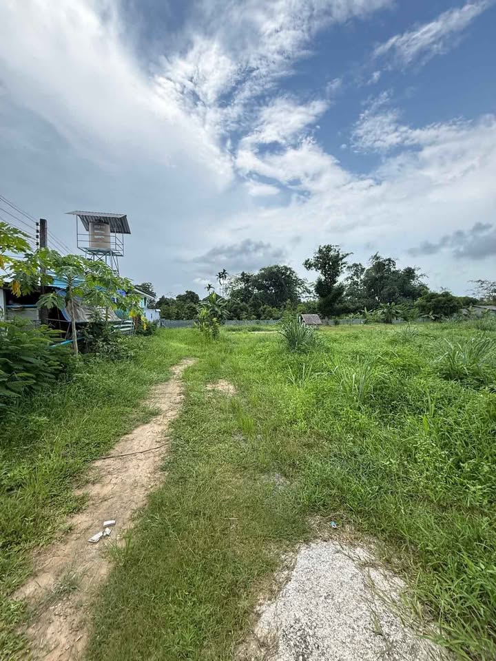 2 rai land plot for sale on a public road at Pa Khrong Chip – รูปที่ 3