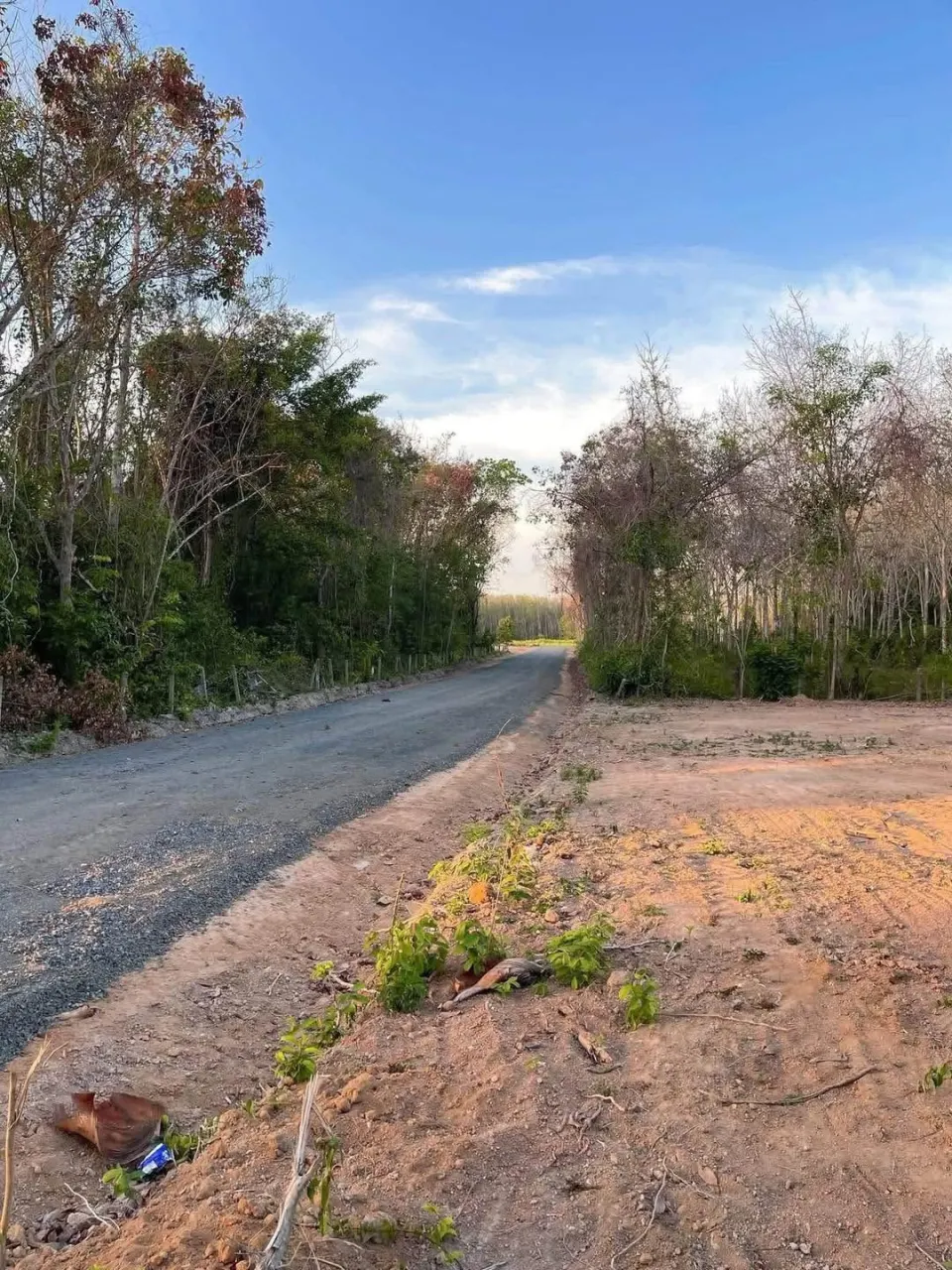 Land plot for sale in Mai Khao Soi 12