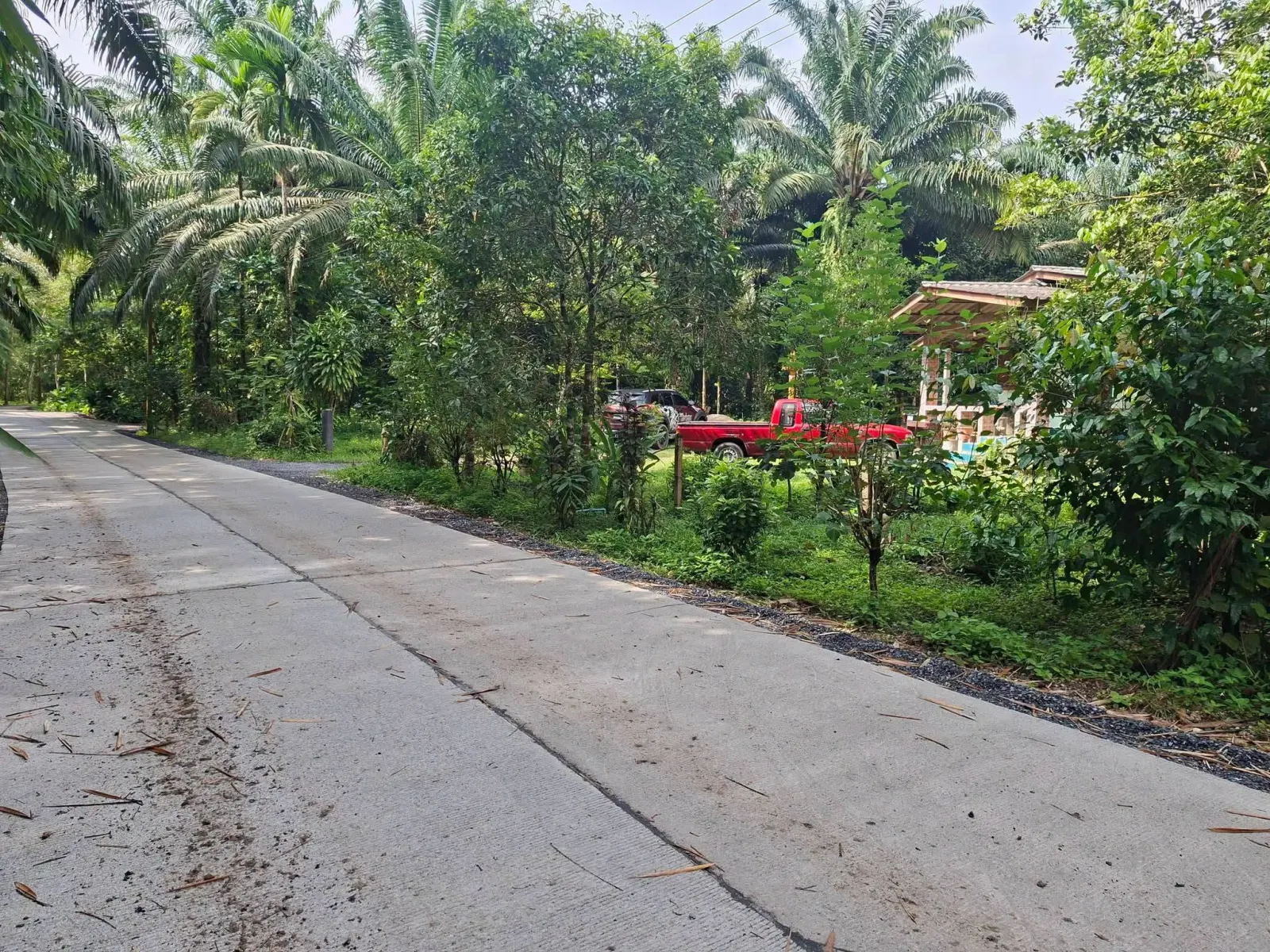 3-bedroom house on about 5 rai in Lam Phi, Thai Mueang – รูปที่ 6