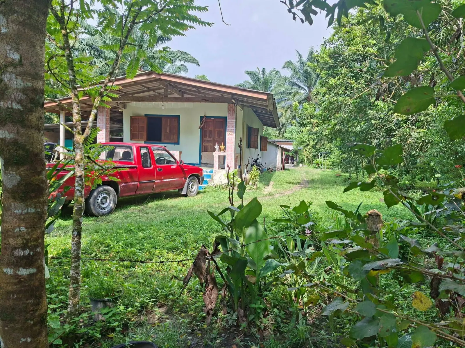 3-bedroom house on about 5 rai in Lam Phi, Thai Mueang – รูปที่ 9