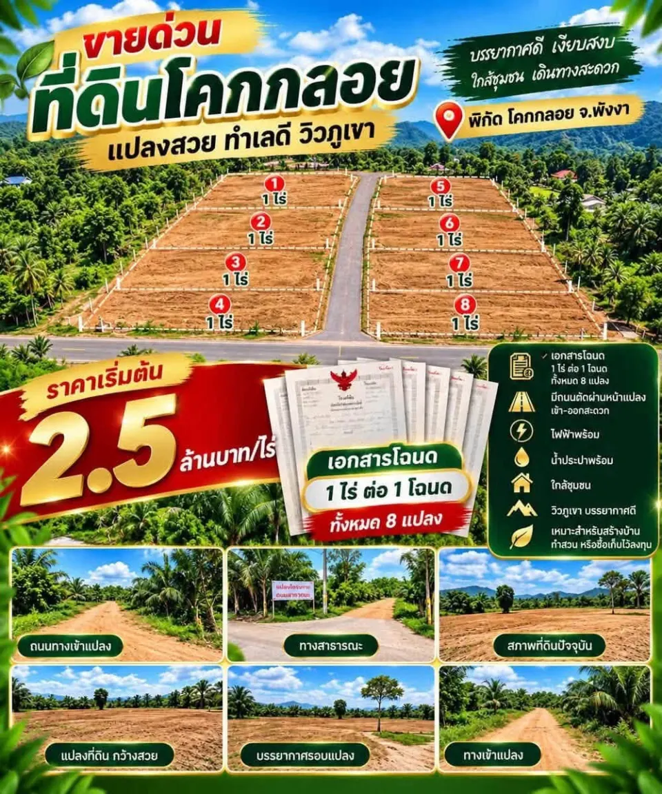 1 Rai Titled Land Plots for Sale in Khok Kloi, Phang Nga