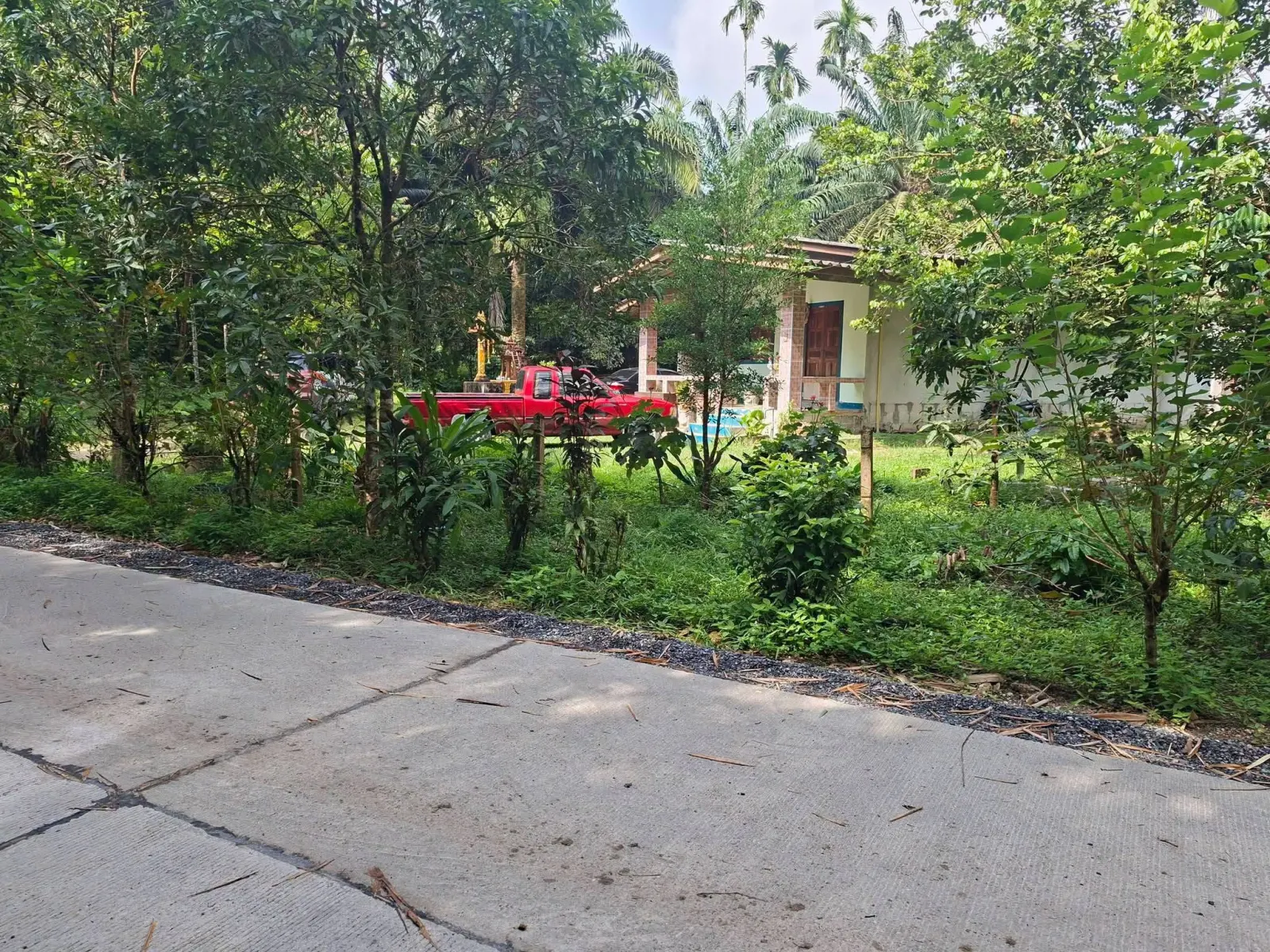 3-bedroom house on about 5 rai in Lam Phi, Thai Mueang – รูปที่ 7