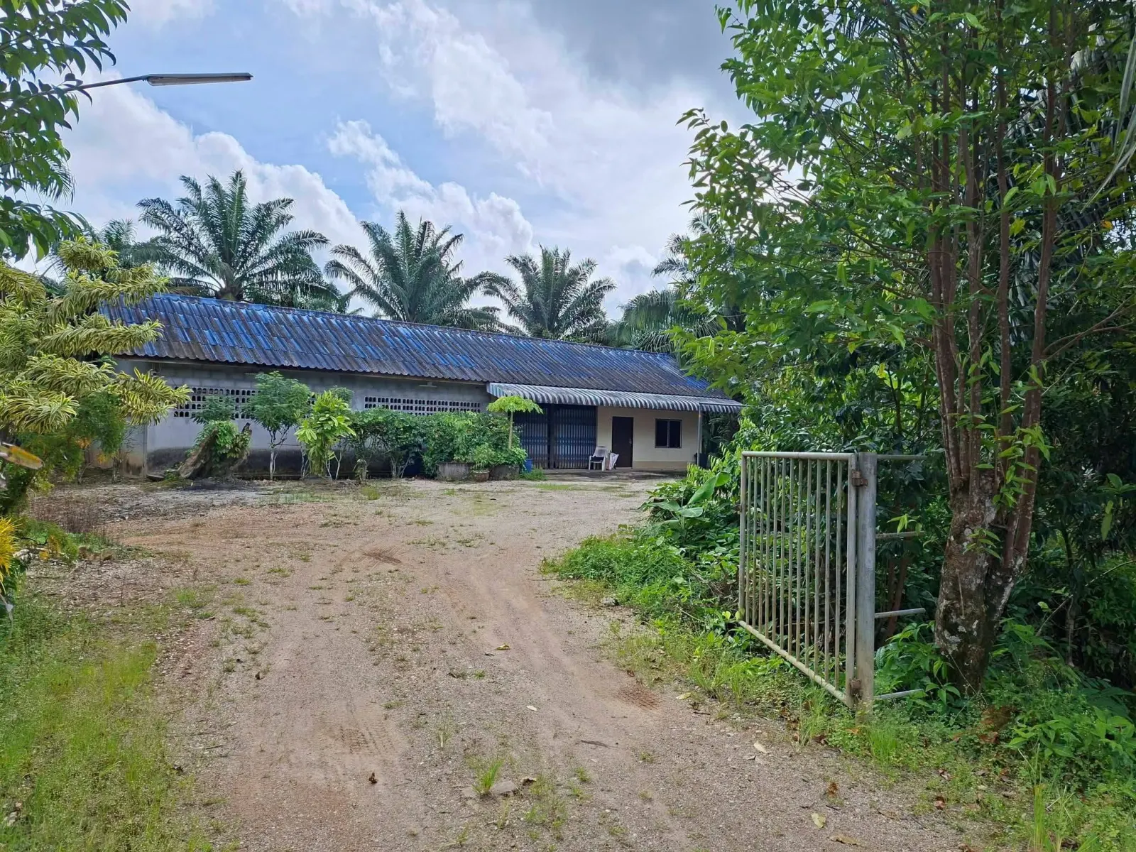 39 rai oil palm plantation with house, Thai Mueang – photo 1
