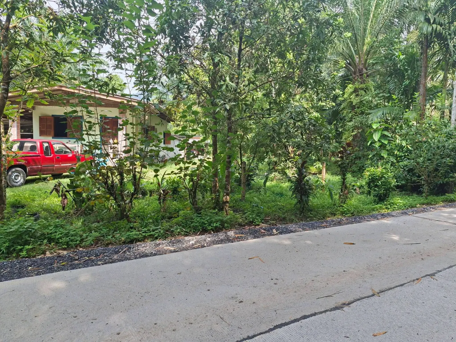 3-bedroom house on about 5 rai in Lam Phi, Thai Mueang – รูปที่ 1