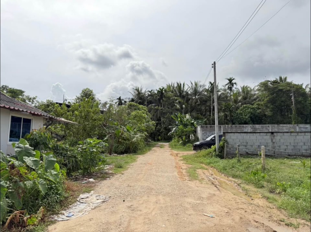100 sq.wah land plot near the sea in Tha La, Pa Khlok – รูปที่ 7