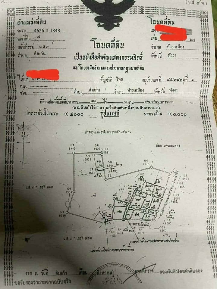 4 rai 93 sq wah titled palm plantation land for sale in Lam Kaen, near Khao Lak