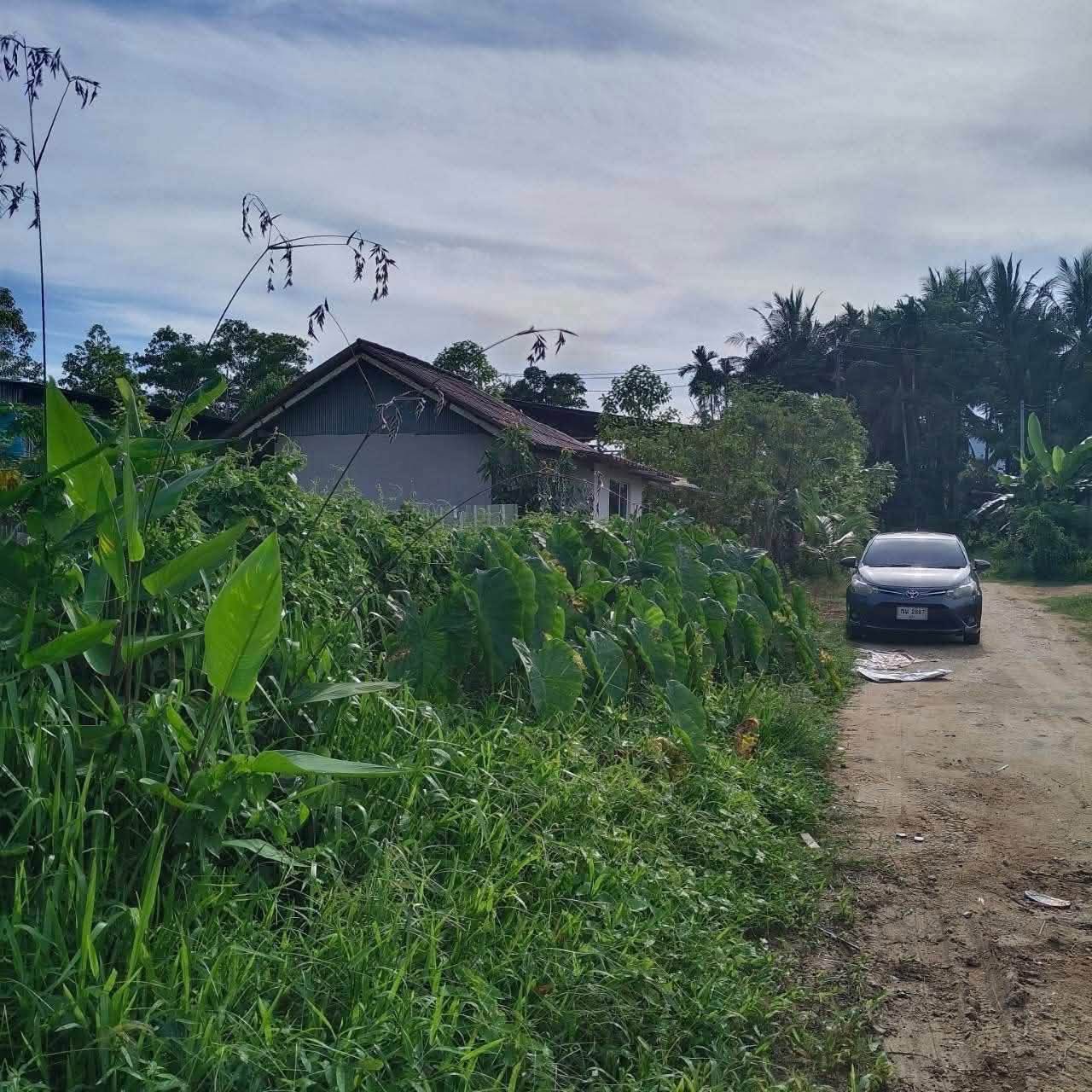 100 sq.wah land plot for sale in Pa Khlok near Tha La Beach – รูปที่ 7