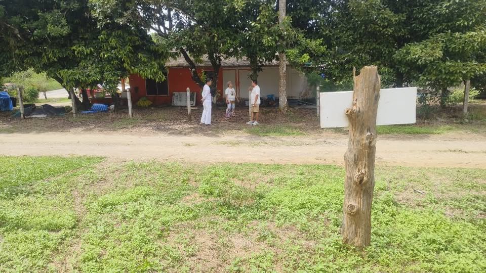 Land for sale near the sea in Thai Mueang, Phang Nga – photo 9