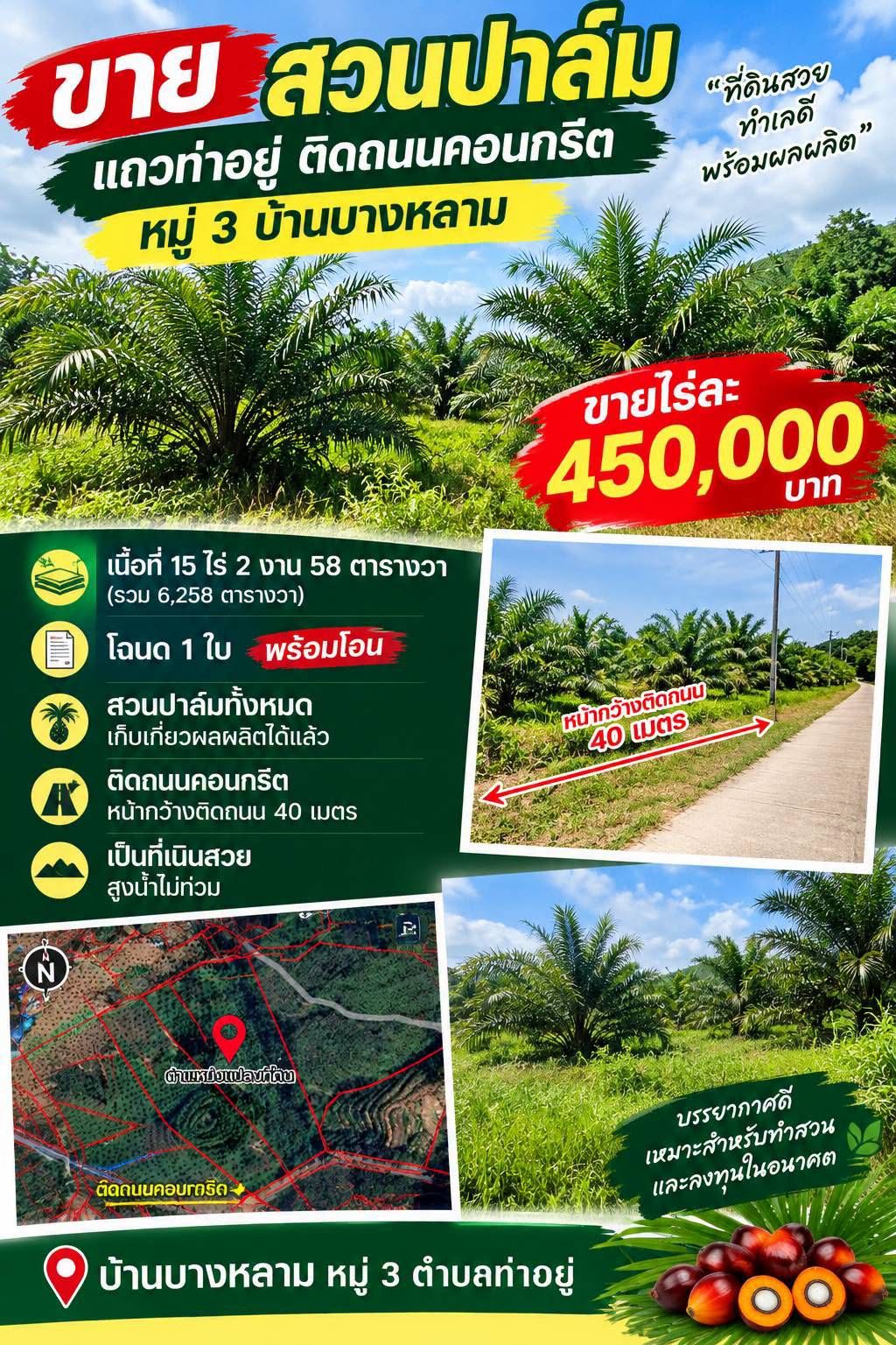 Palm Oil Plantation 15 Rai for Sale, Ban Bang Lam, Tha Yu, Takua Thung, Phang Nga
