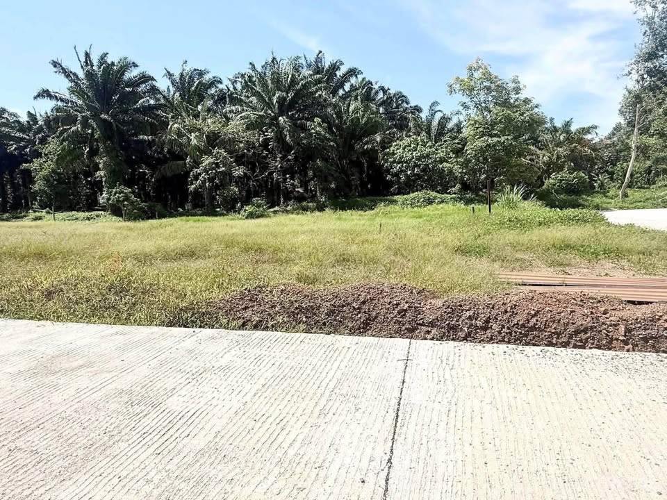 100 sq.wah land plot in Khok Kloi, Phang Nga – photo 4